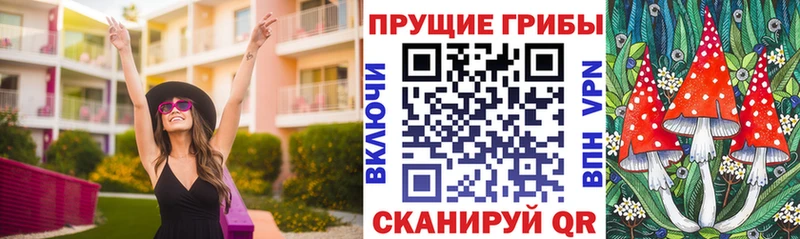 Галлюциногенные грибы Psilocybe  закладка  Вятские Поляны 